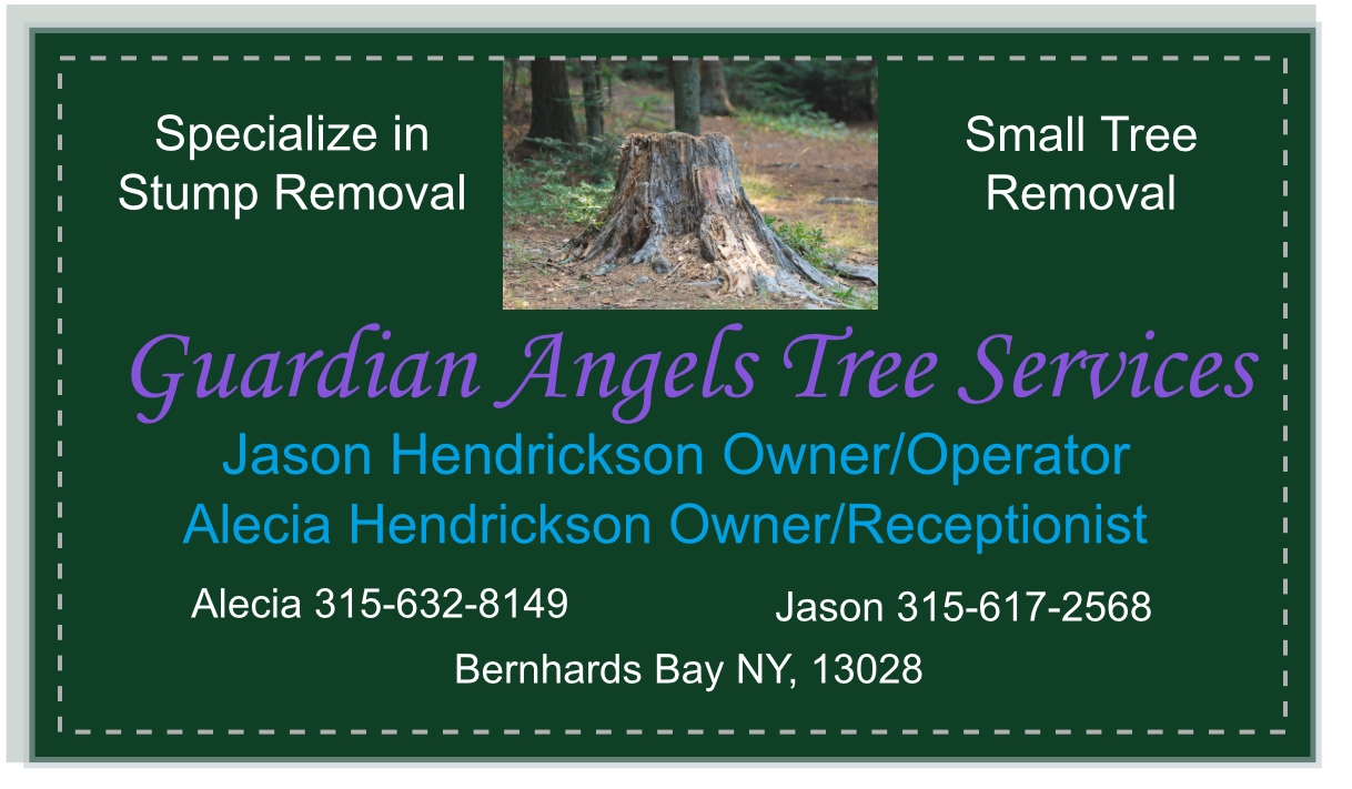 Avatar for Guardian Angels Stump Grinding and Tree Service