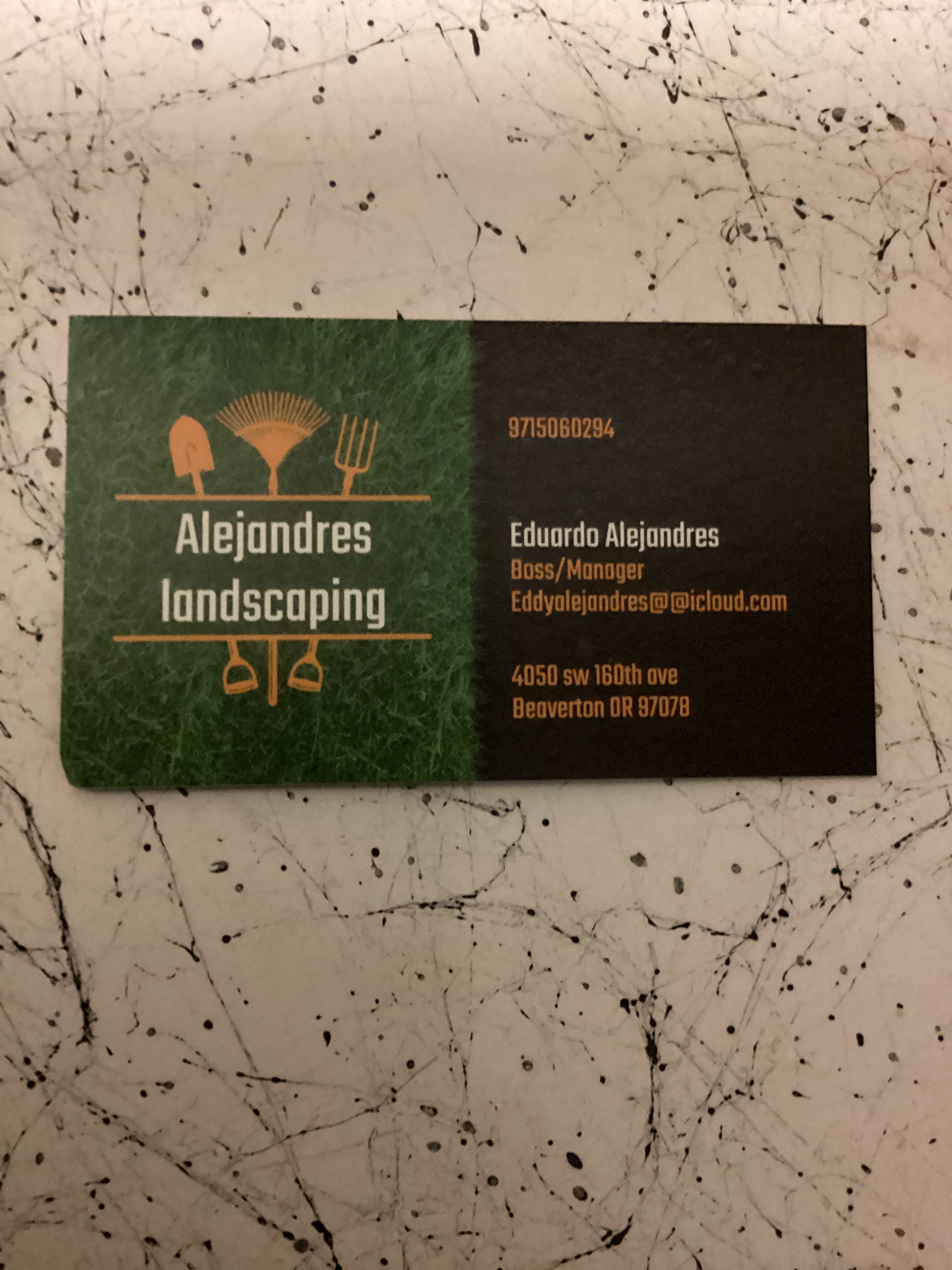 Alejandres landscaping  logo