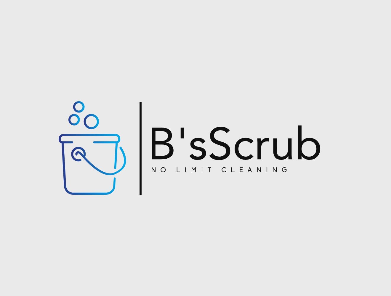 B'sScruber, Integral Services LLC logo