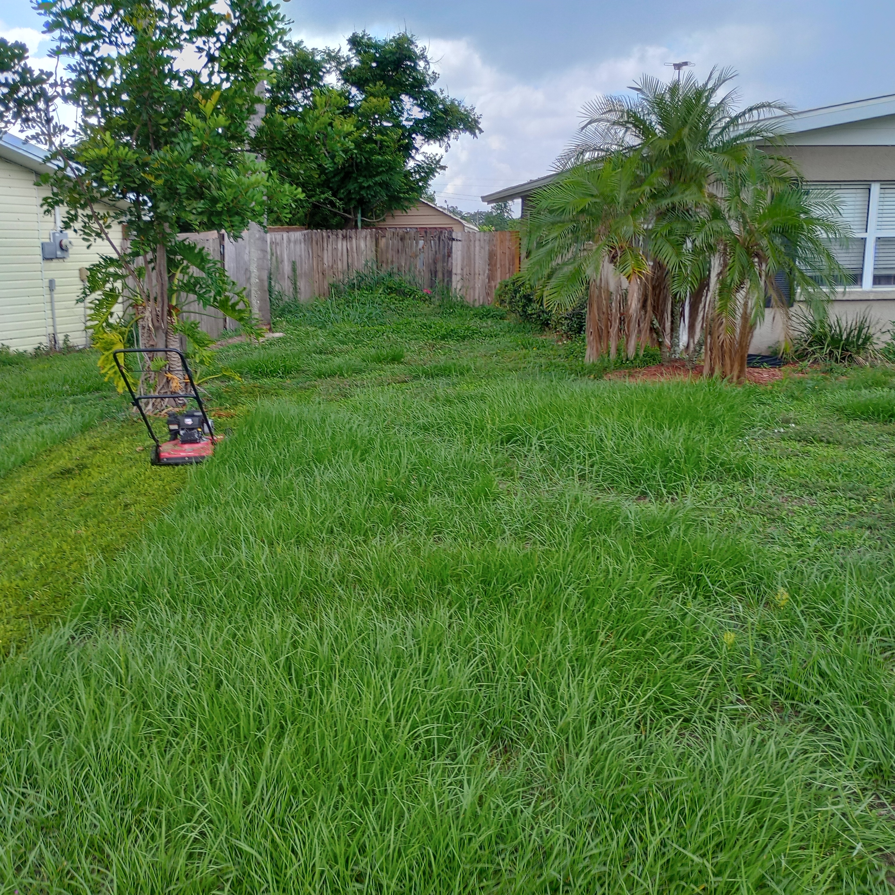 Ryan's landscaping logo