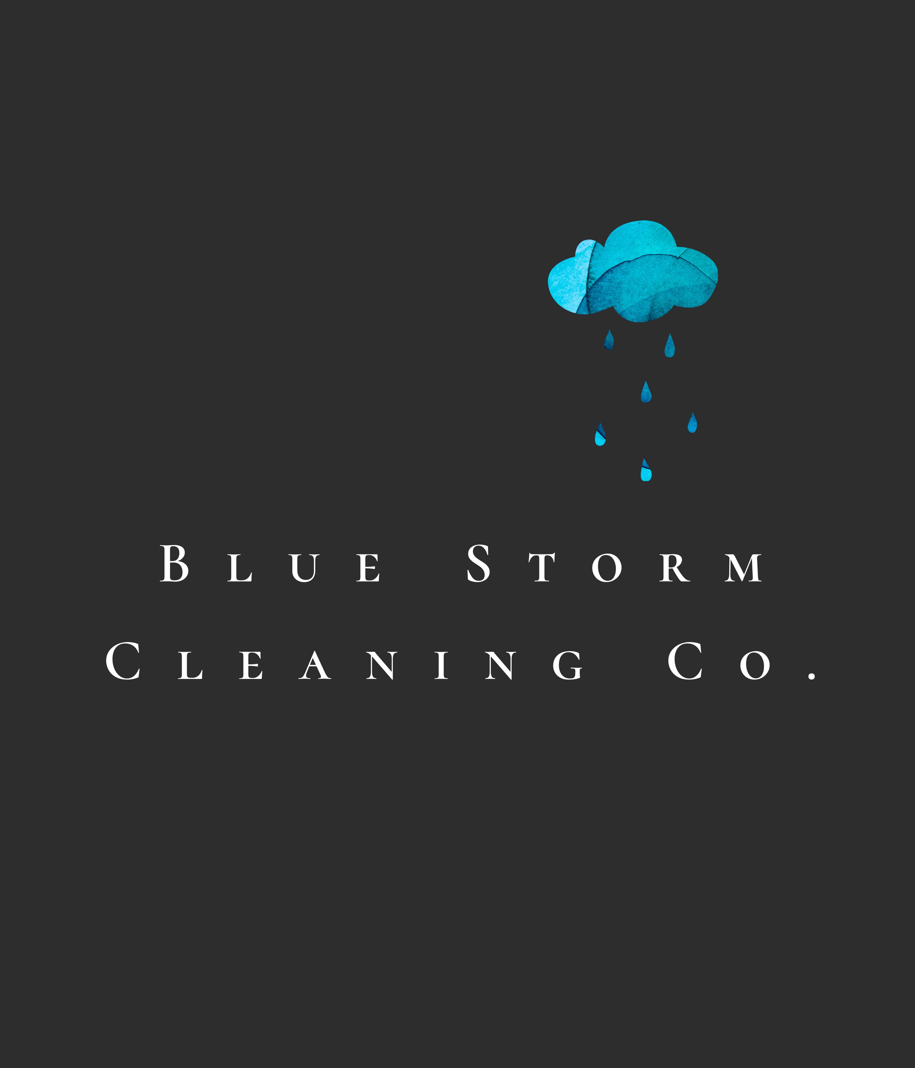 Blue Storm Cleaning Co. logo
