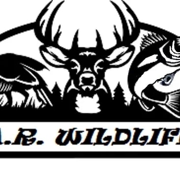 Avatar for A.R. Wildlife and Outdoors LLC