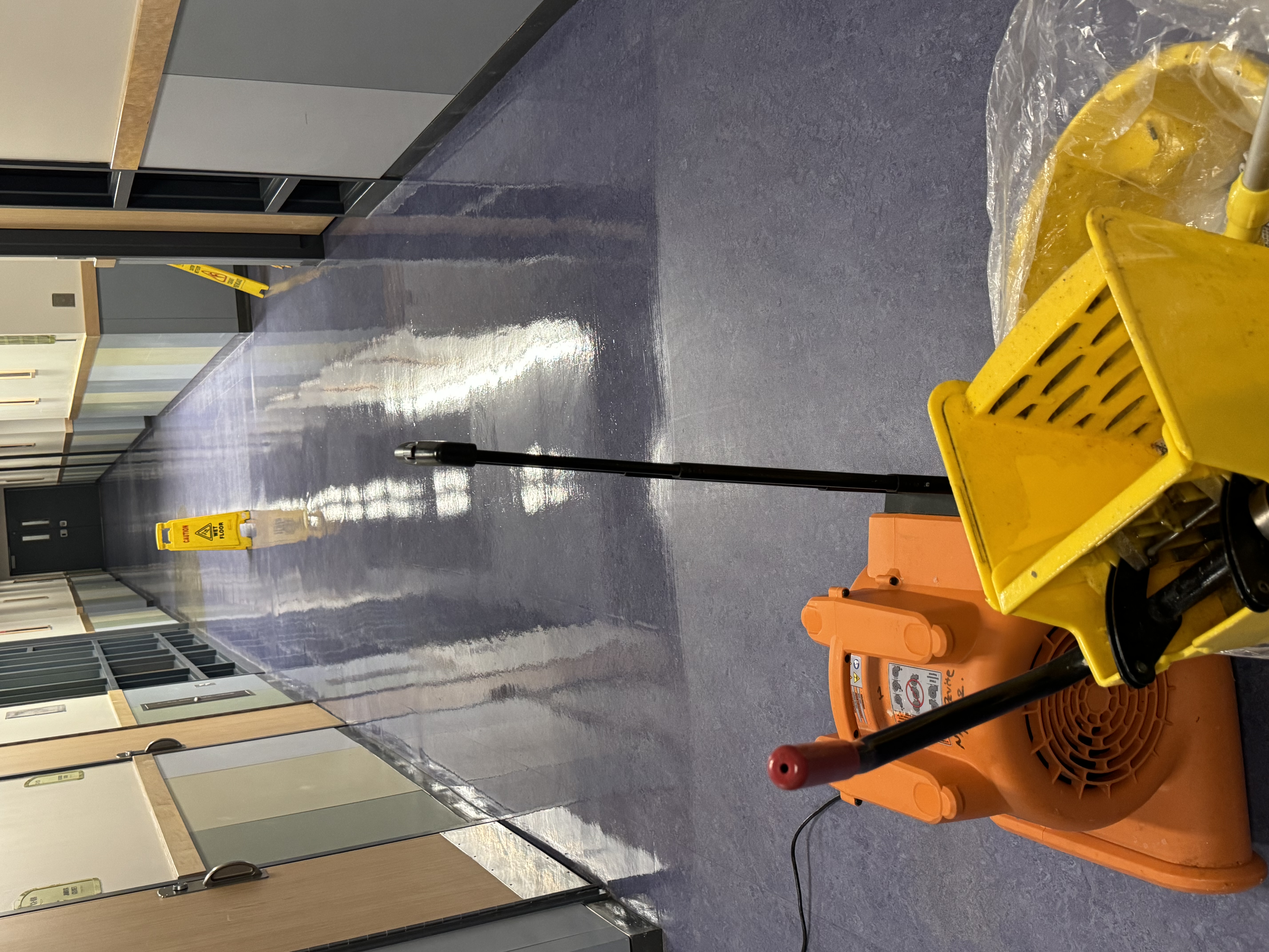 Alex cleaning service logo