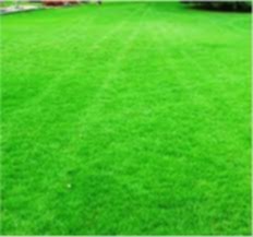 Avatar for Shields Lawn Care