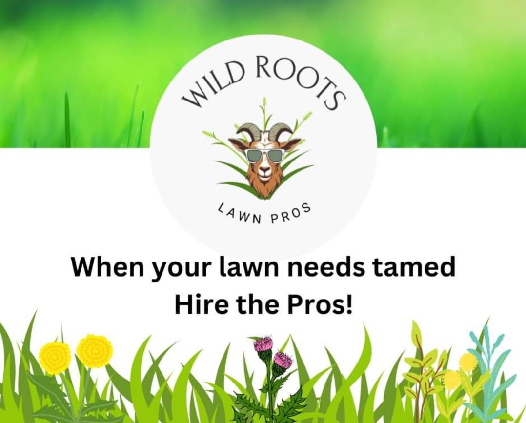 Wild Roots Lawn Pros logo