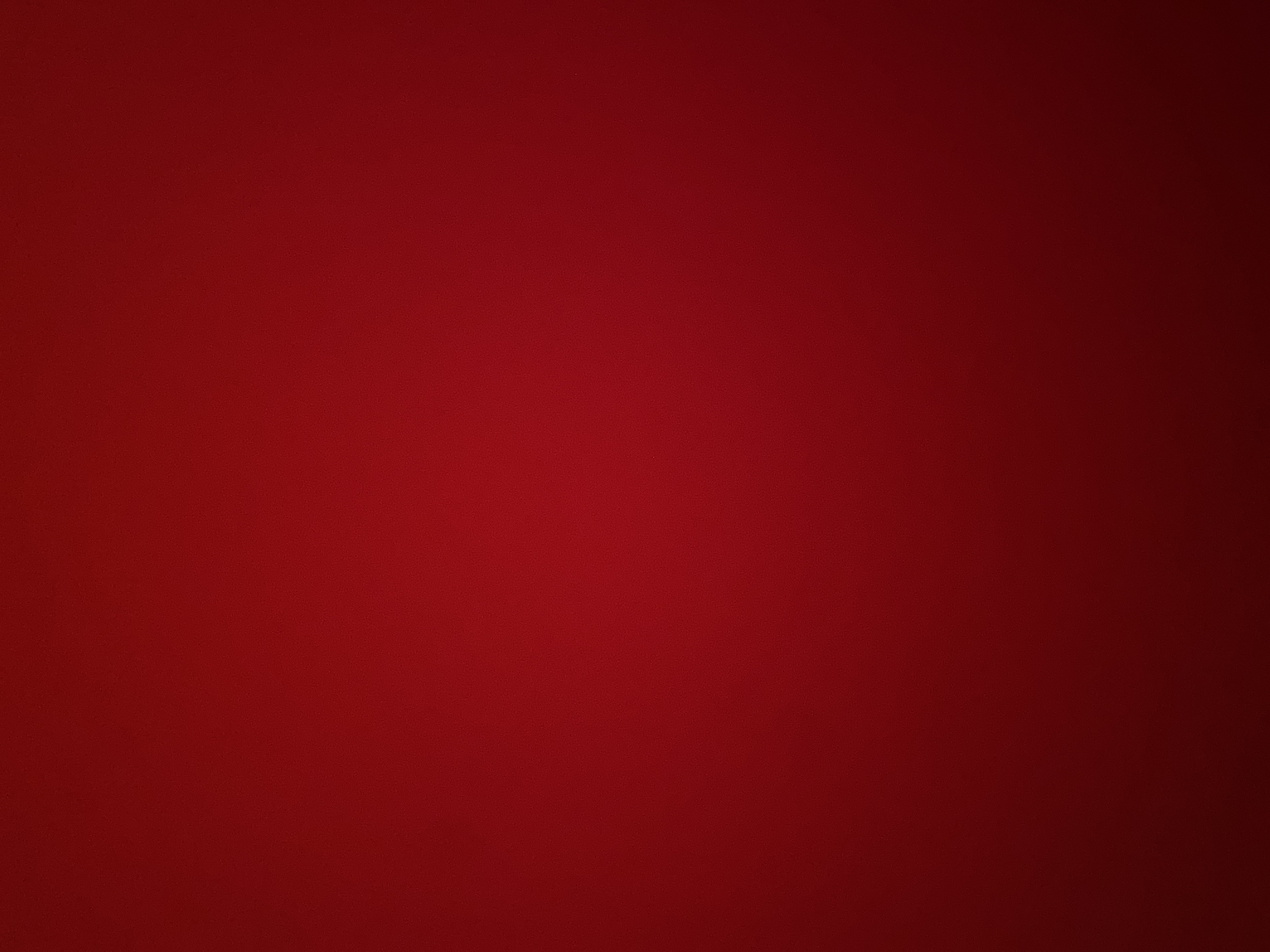 Haylie Wyatt logo
