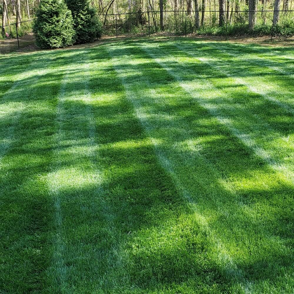Avatar for Zachers Landscaping and repair