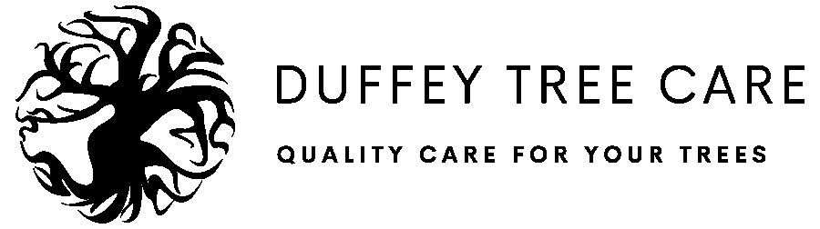 Avatar for Durfey total trees