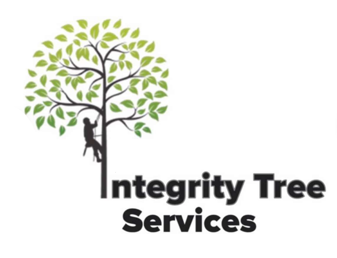 Avatar for Integrity Tree And Home Care LLC.