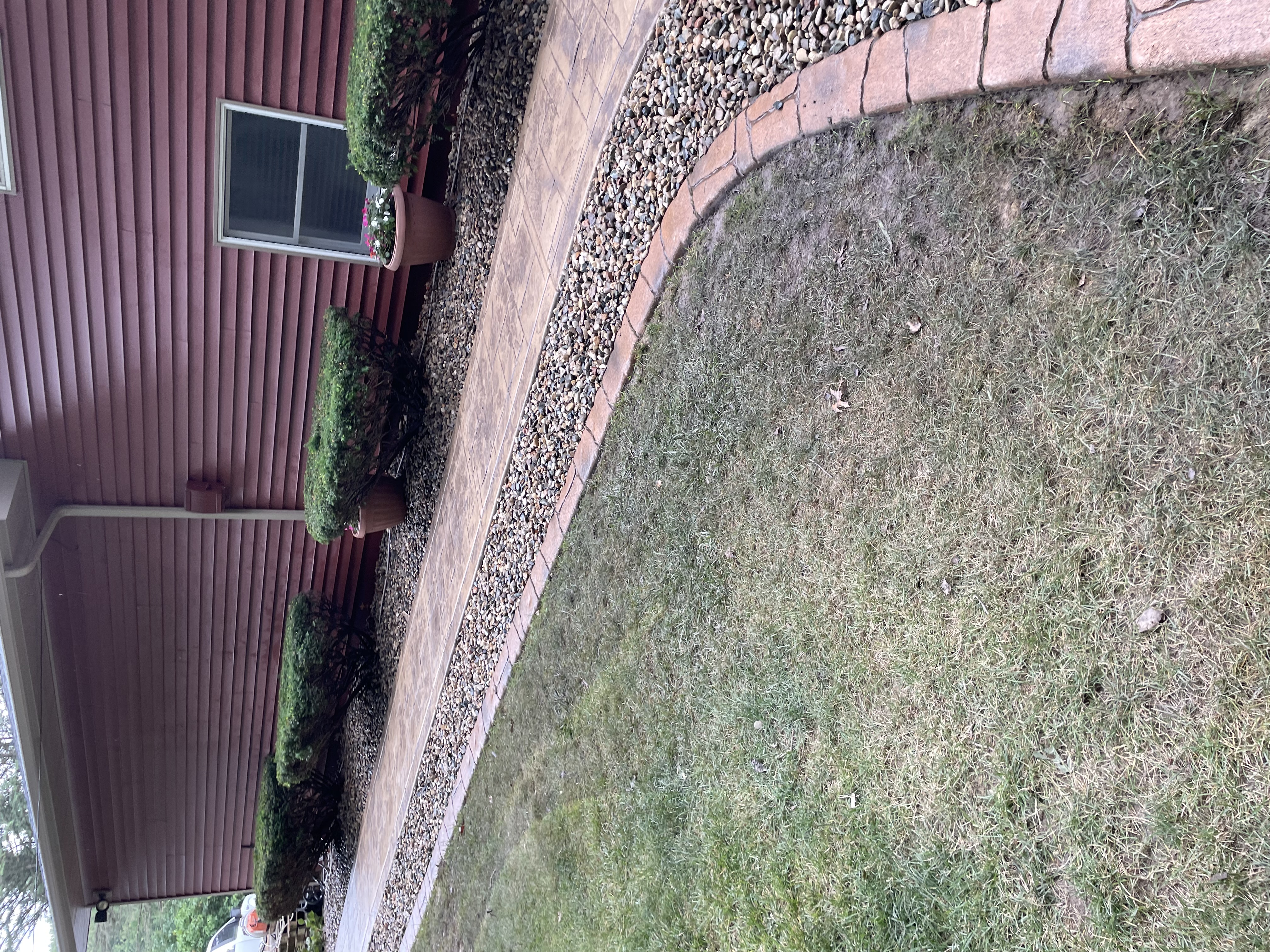 Avatar for Jose torres