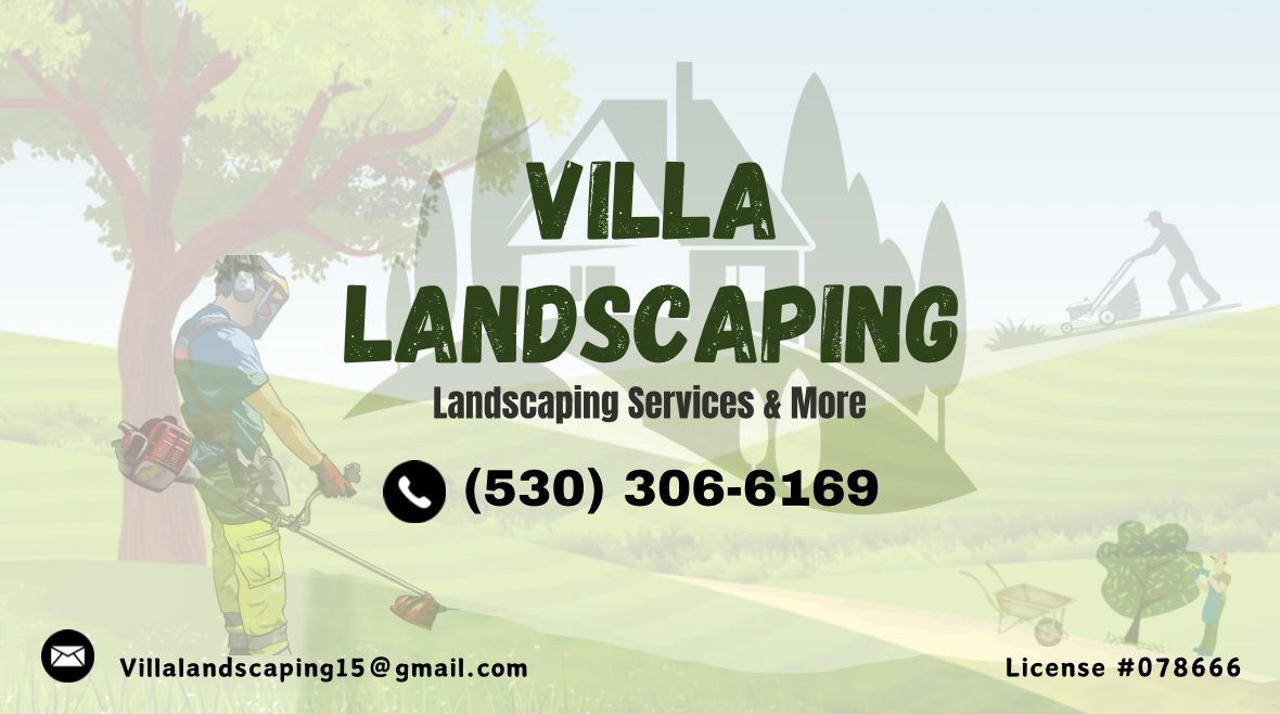 Avatar for Villa Landscaping