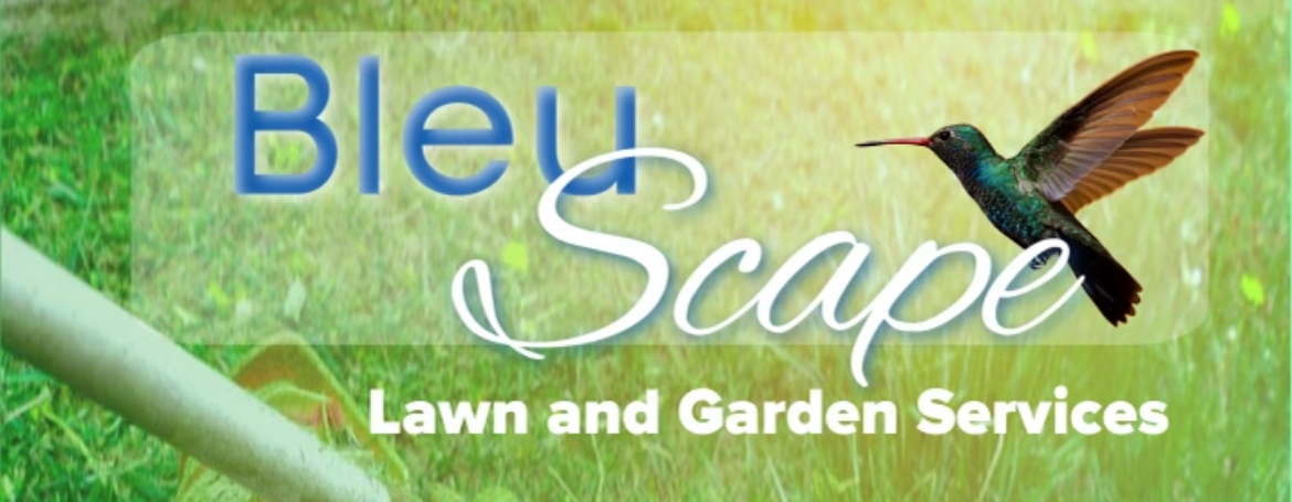 Avatar for BLEU scape lawn and garden