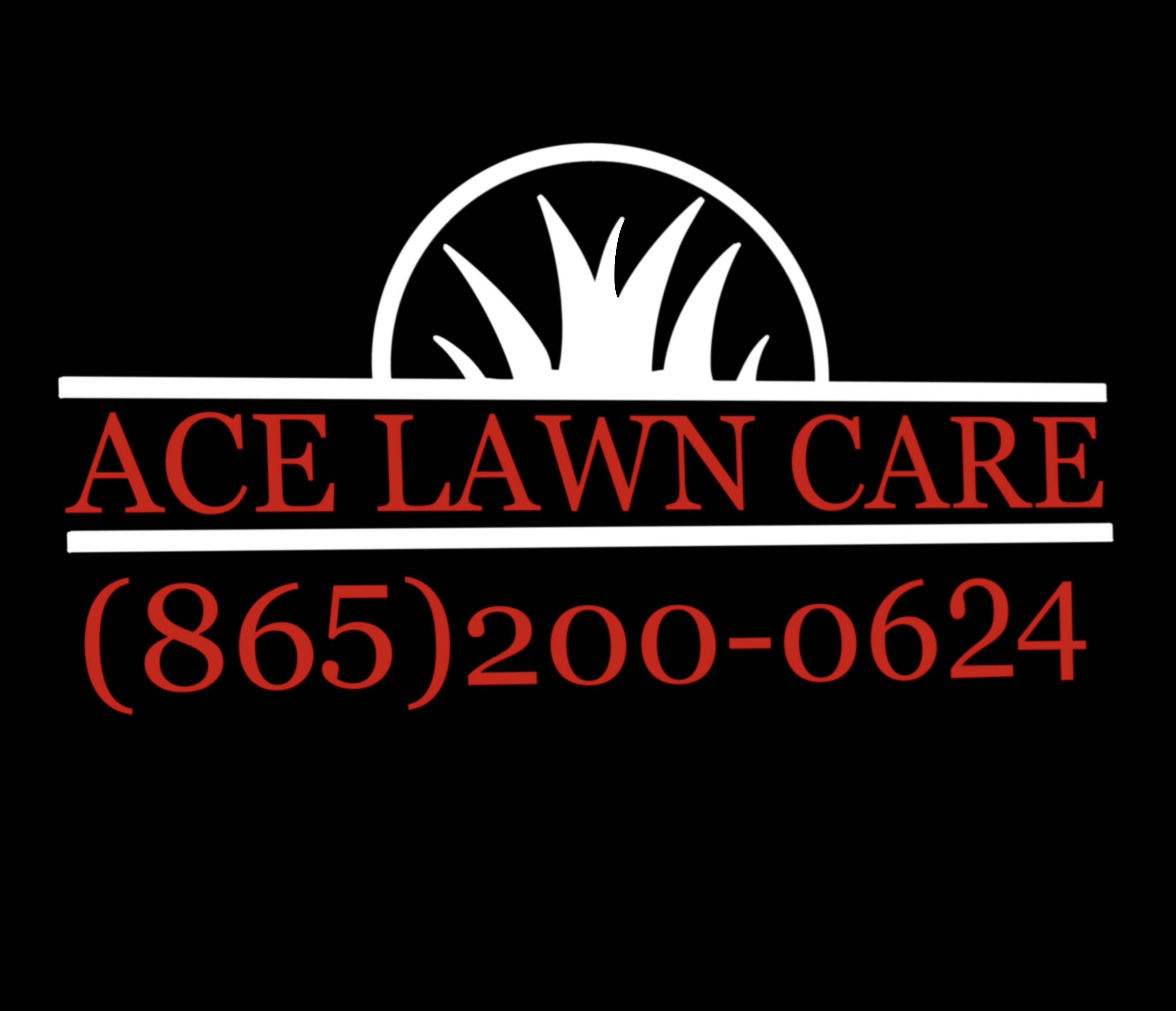 Avatar for ACE REPAIRS