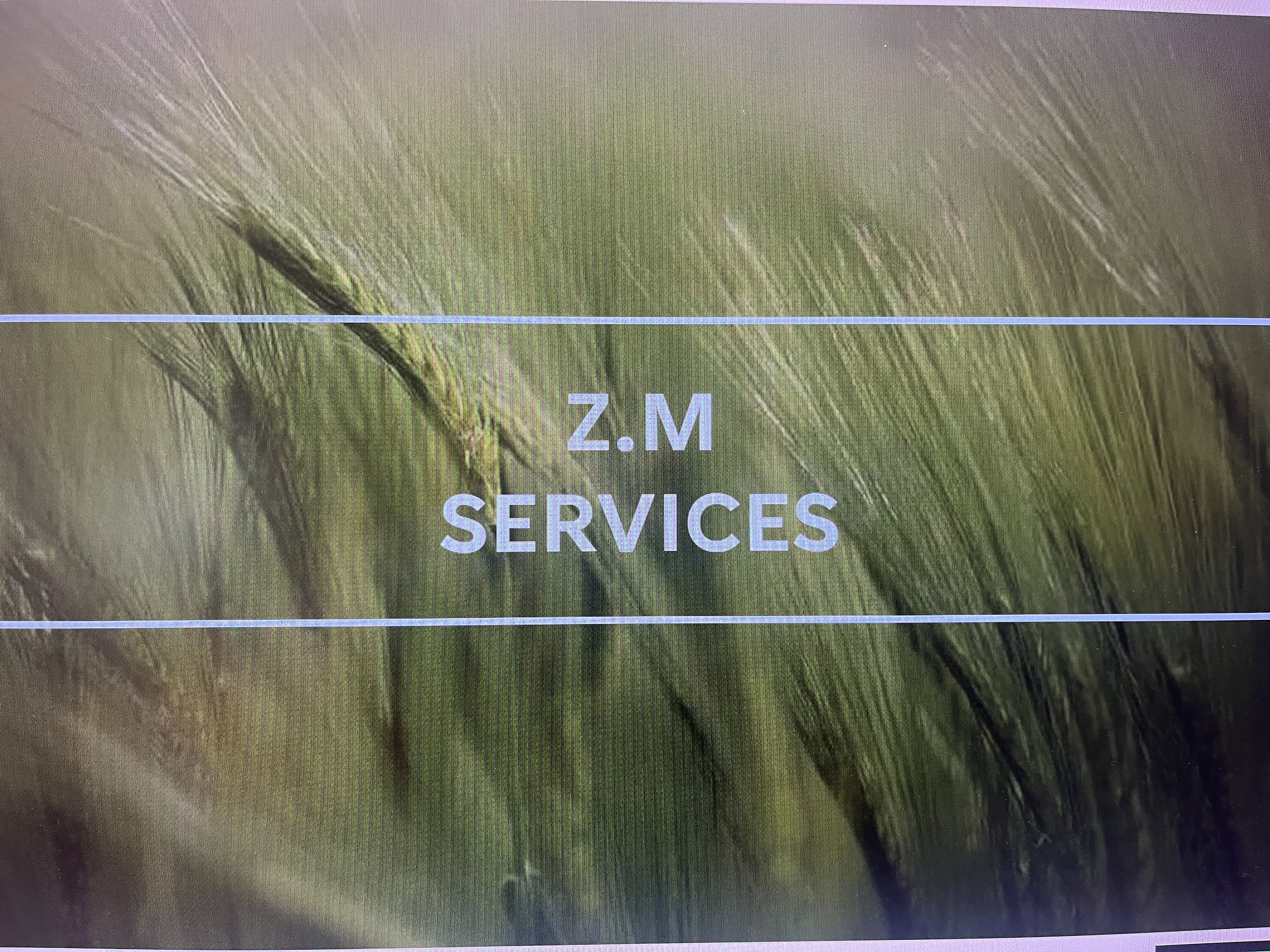 Z.M services logo