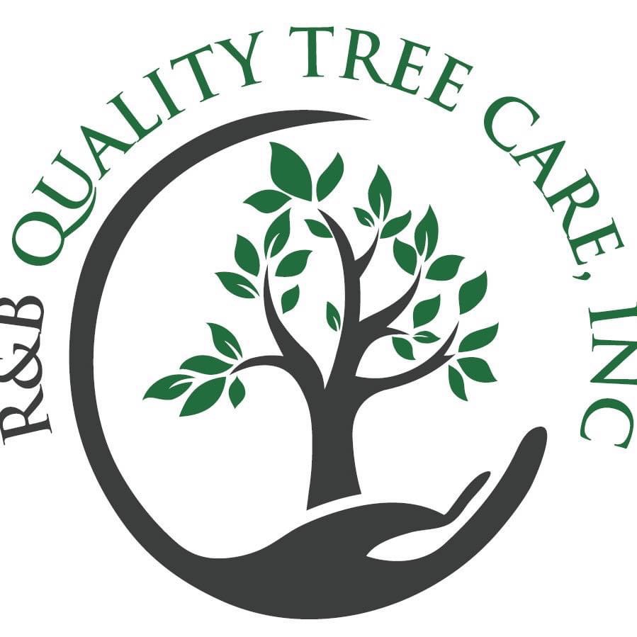 R&B Quality Tree Care logo