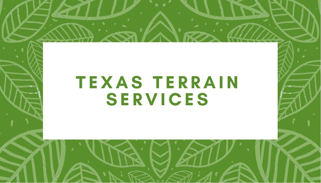 Avatar for Texas Terrains services