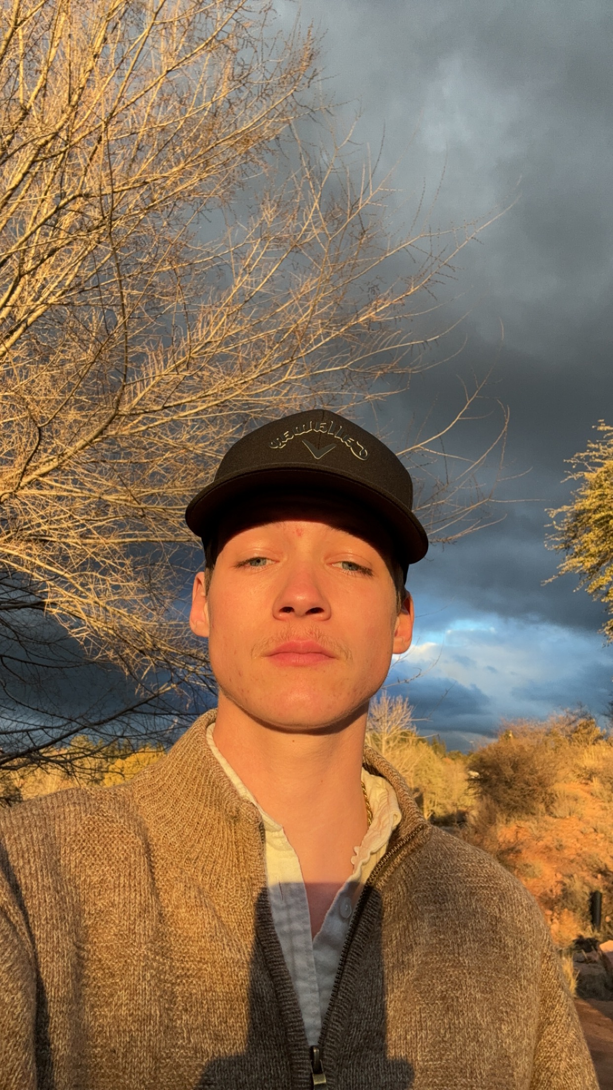 Avatar for Cmmc