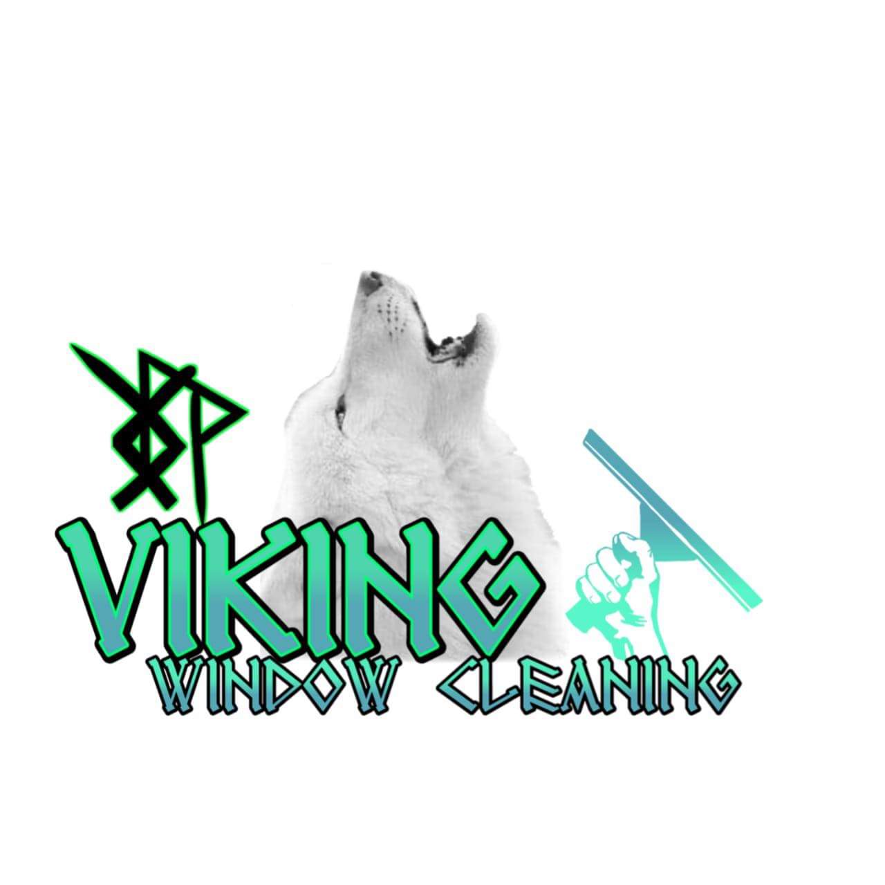 Avatar for Viking window cleaning