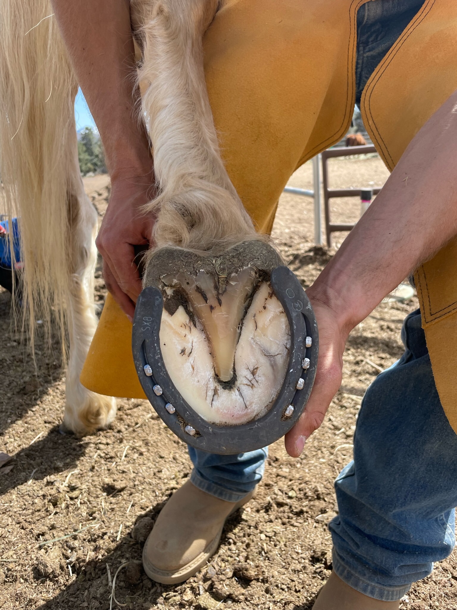 Avatar for James solan