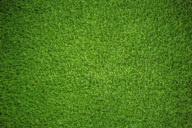 Avatar for Ayden grass cutting landscaping