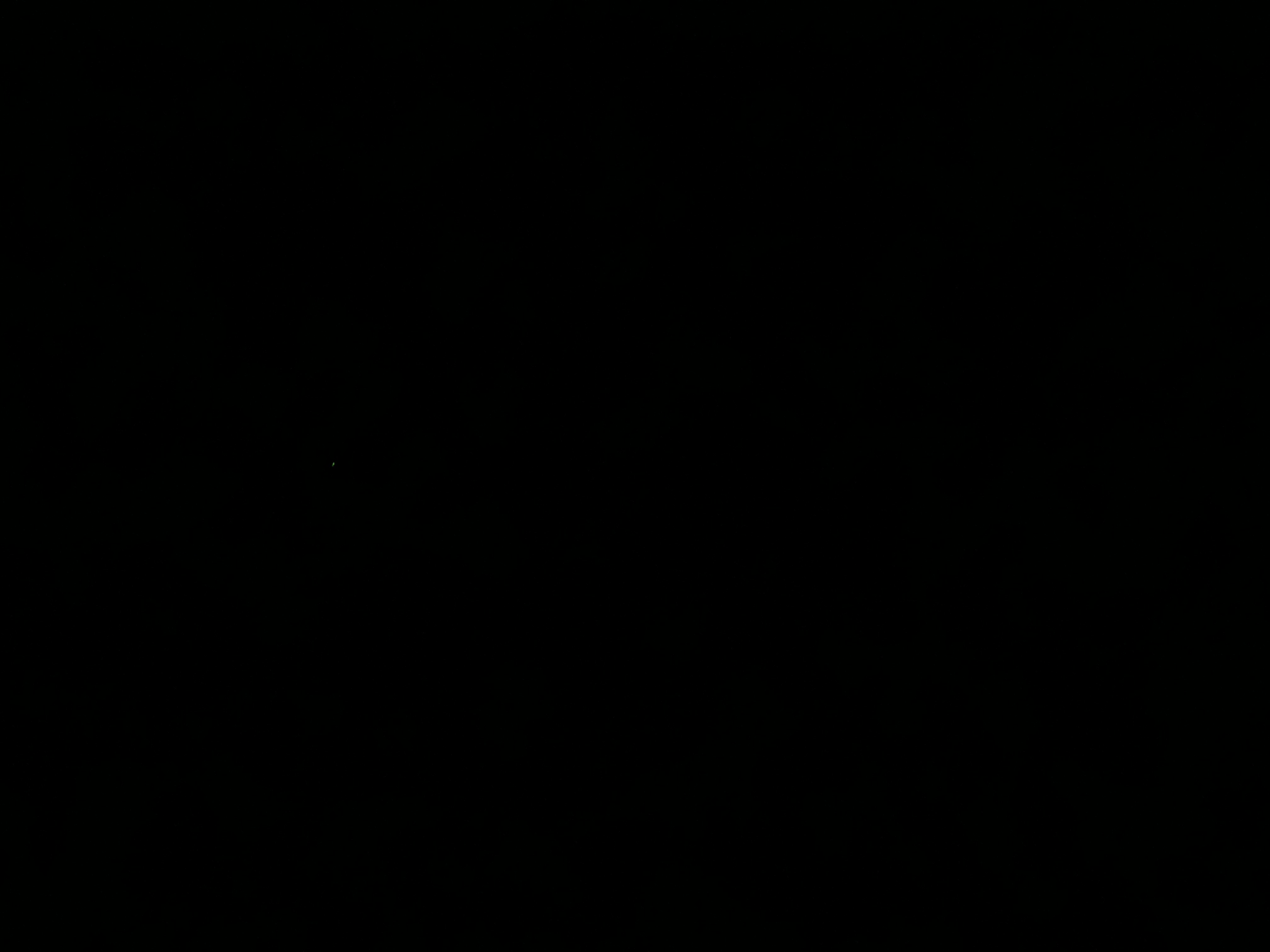 Tomorrow logo