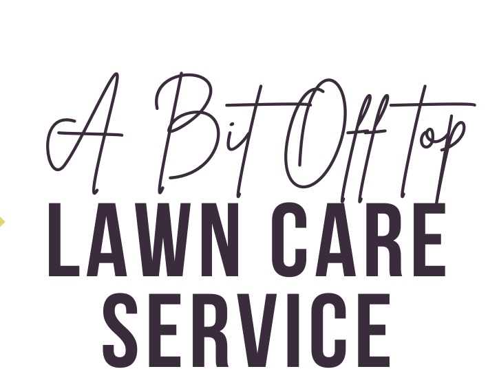 A Bit Off Top logo