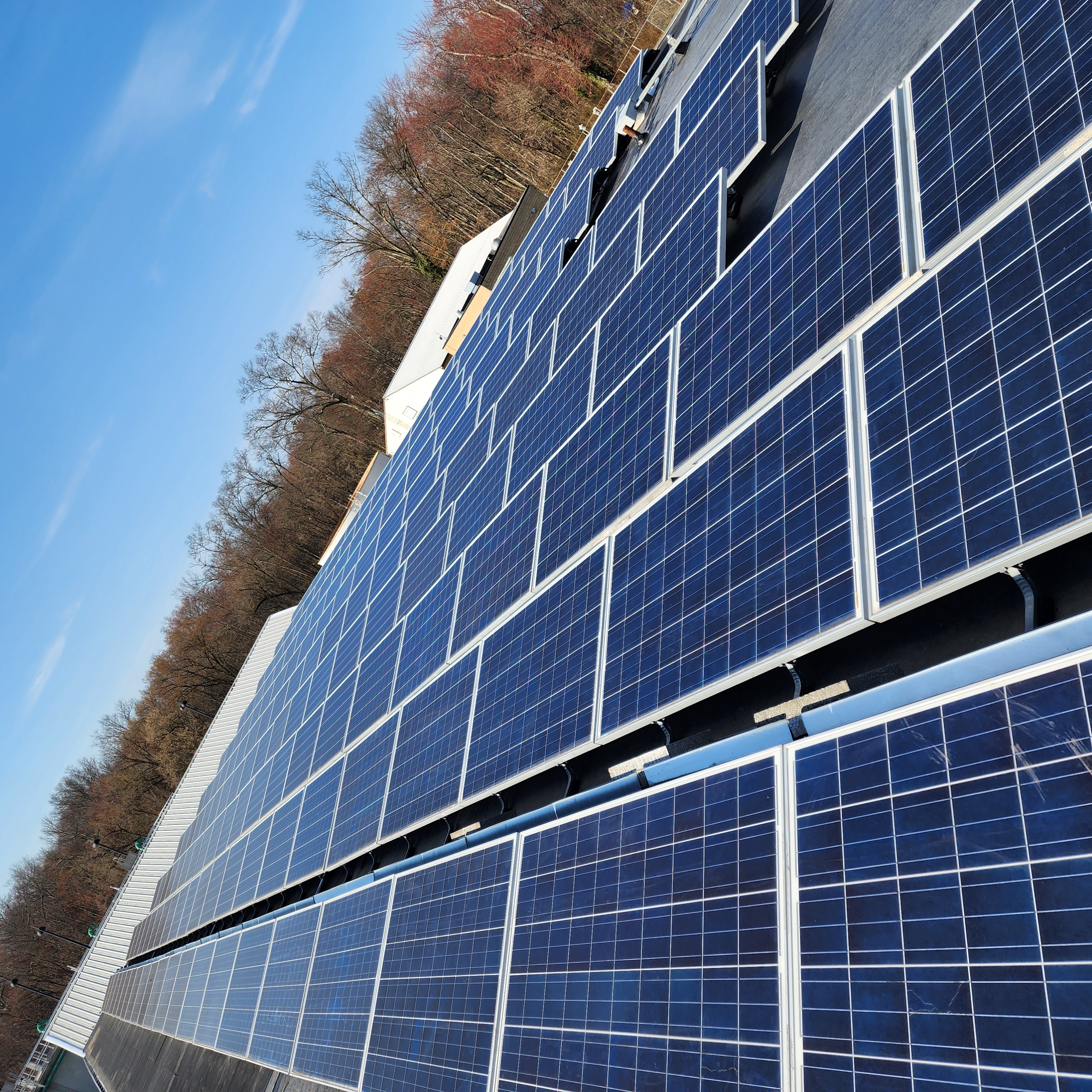 AAA Solar Services logo