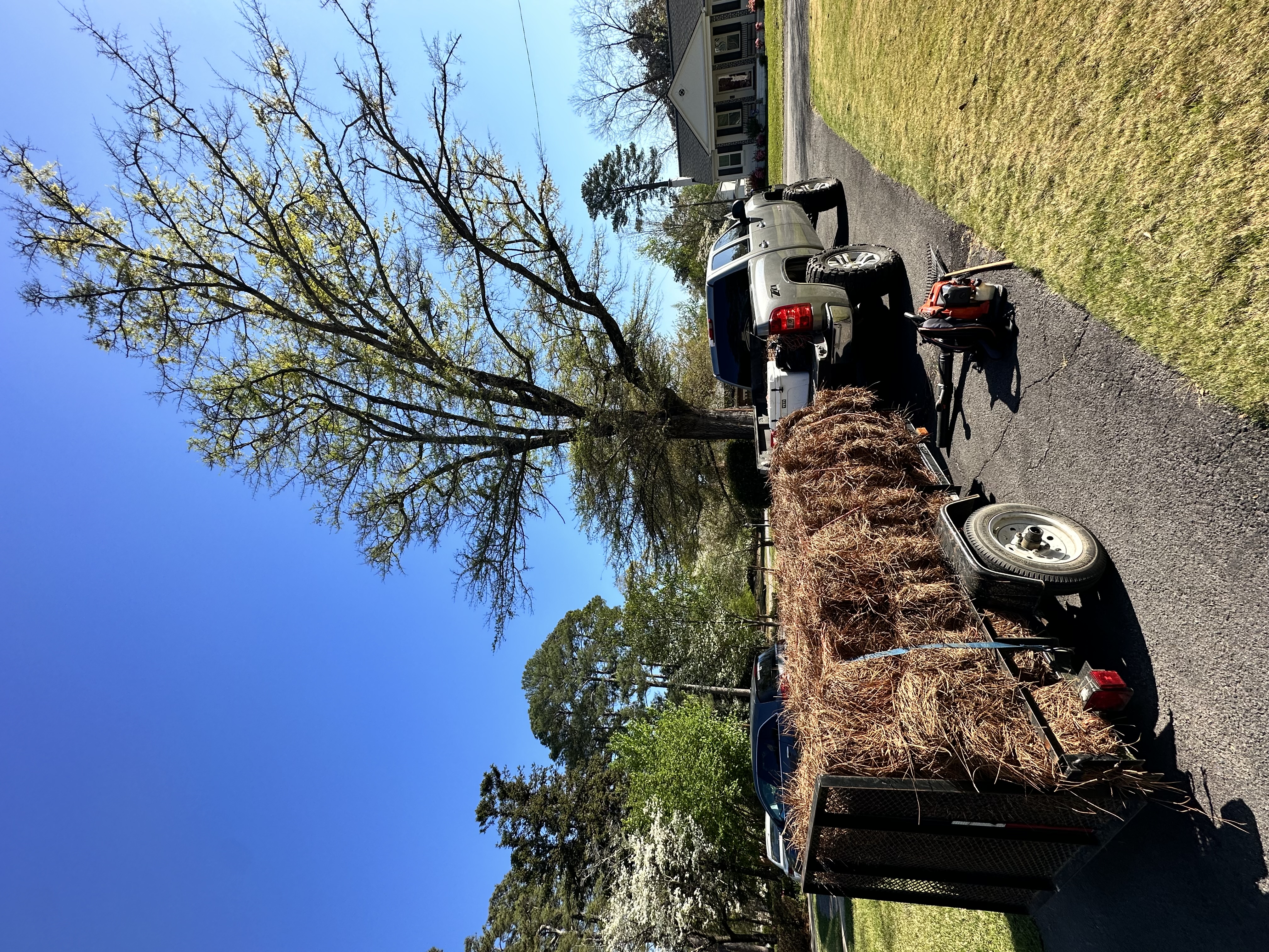 Avatar for Edwards lawn care
