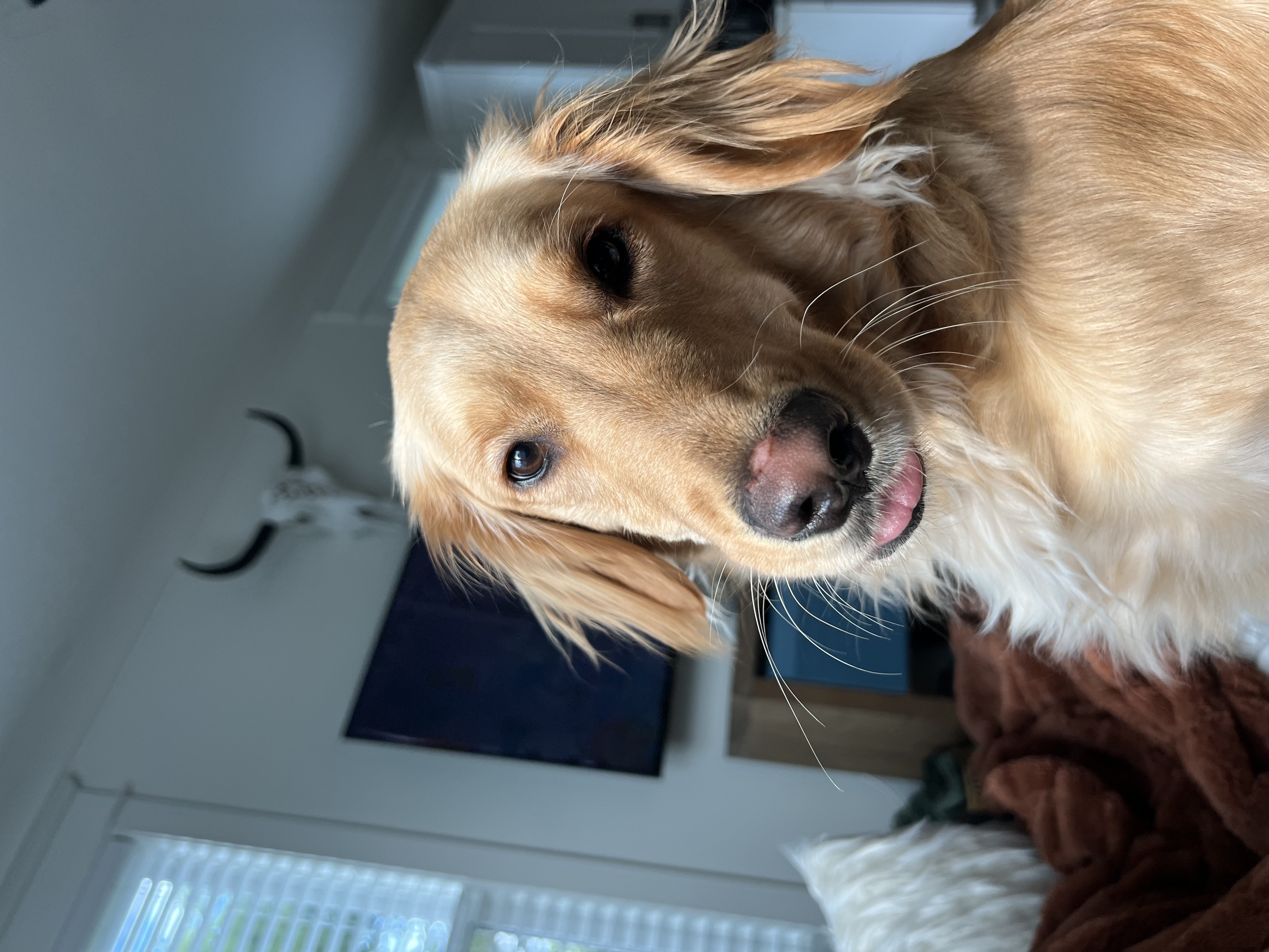 Avatar for Fisher Concrete