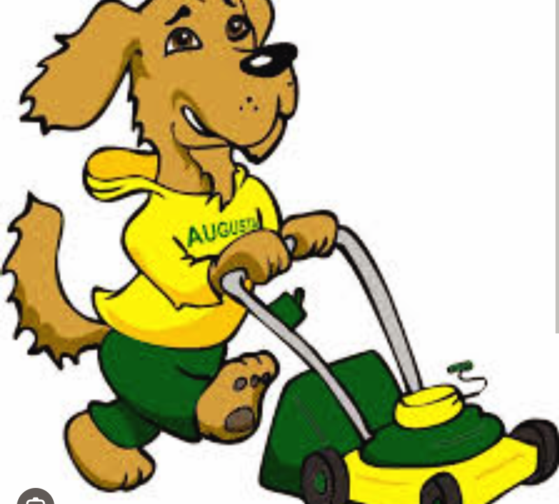 Avatar for Ladybird lawn care