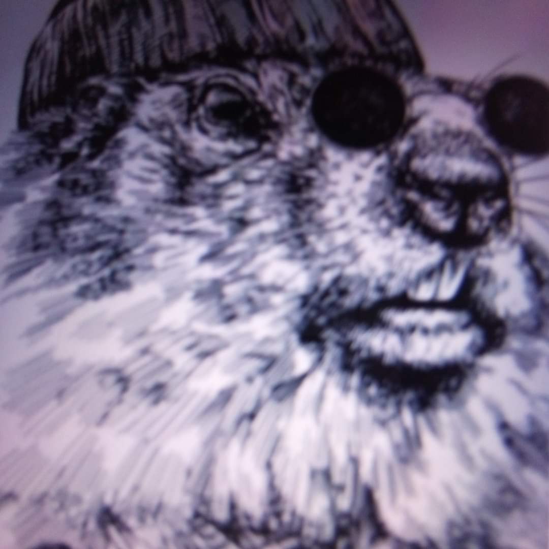 Rusti C. Woodchuck logo