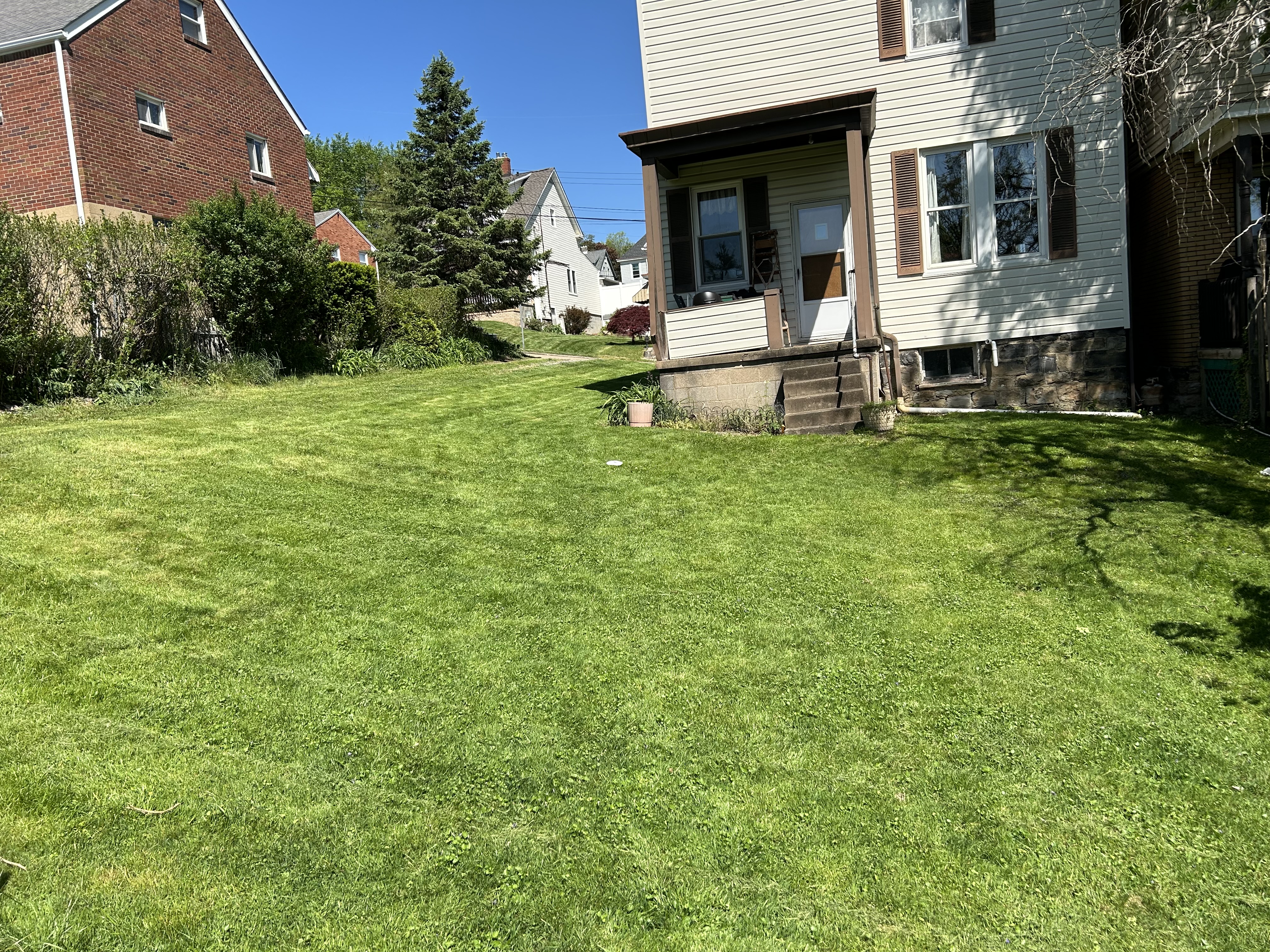 Avatar for Lynn’s lawn lift