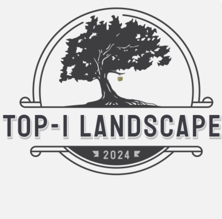 Top 1 landscape logo