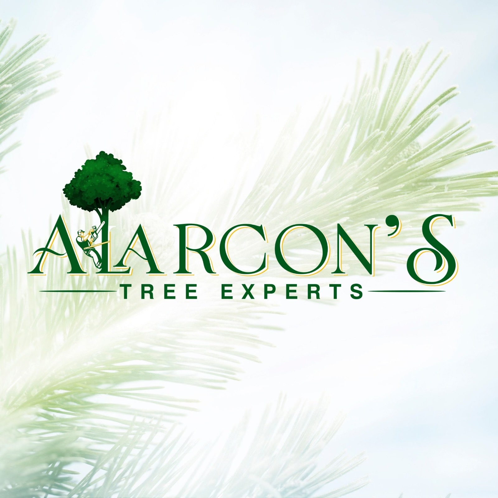 Avatar for Alarcon’s Tree Experts LLC