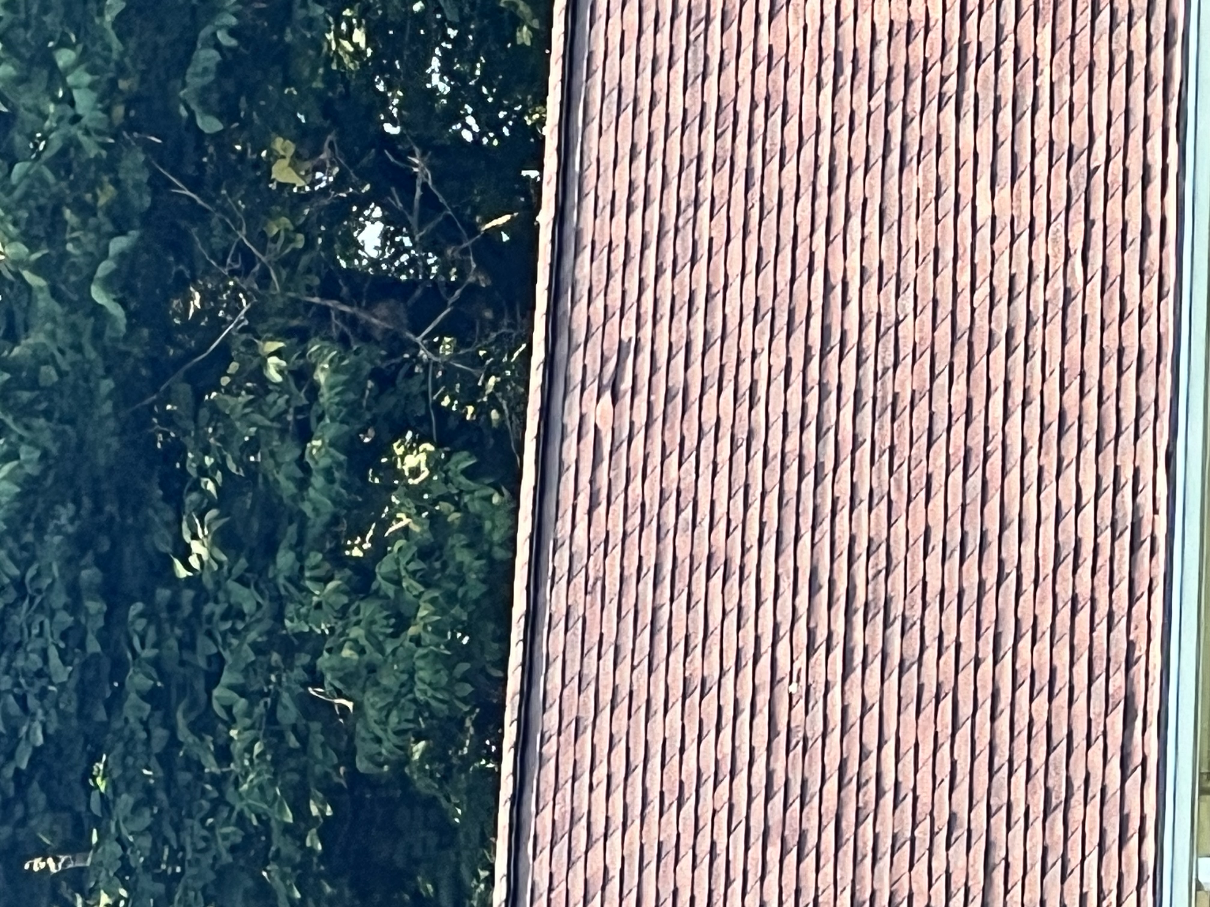 Avatar for Best choice Roofing