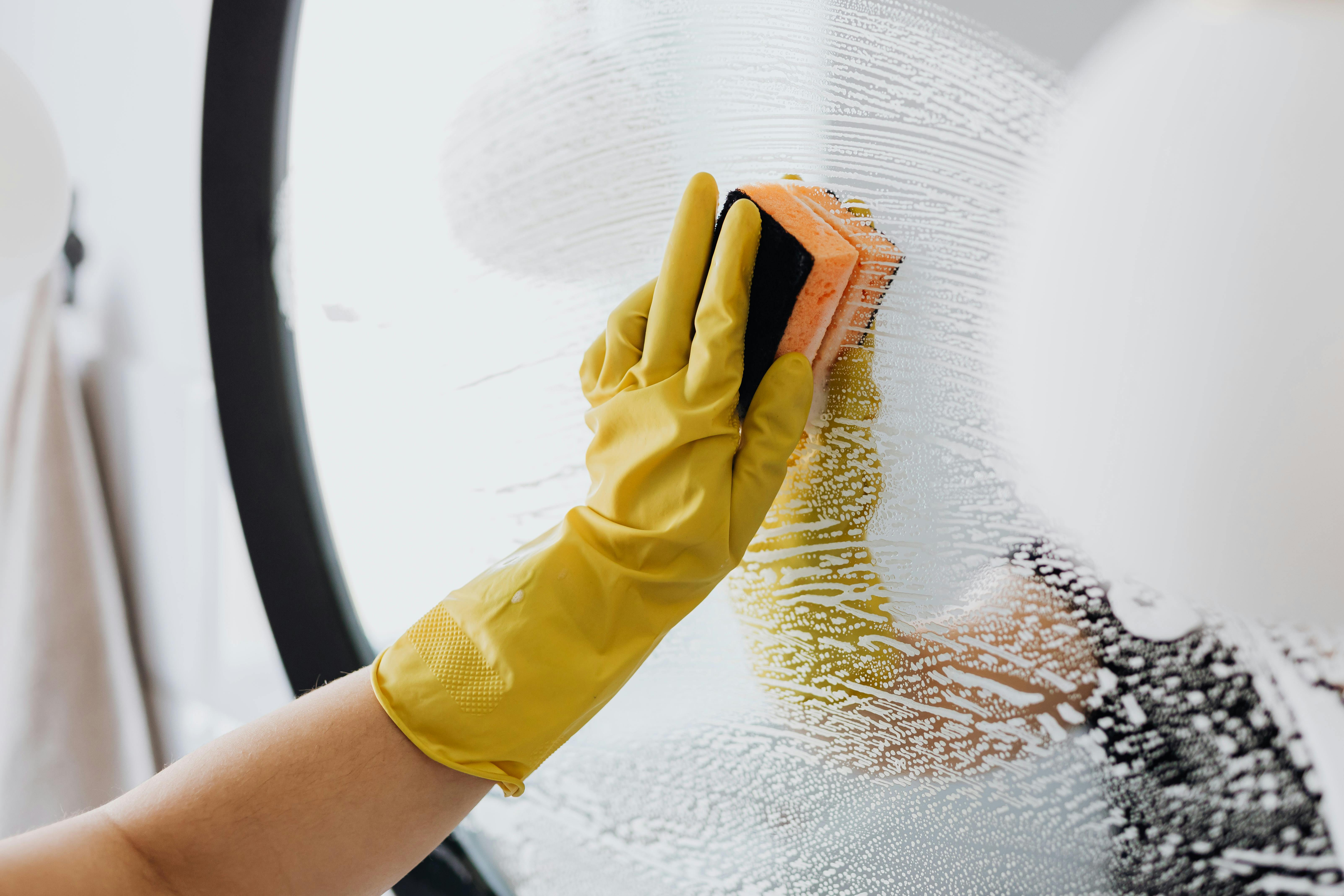 Squeaky Clean Services logo
