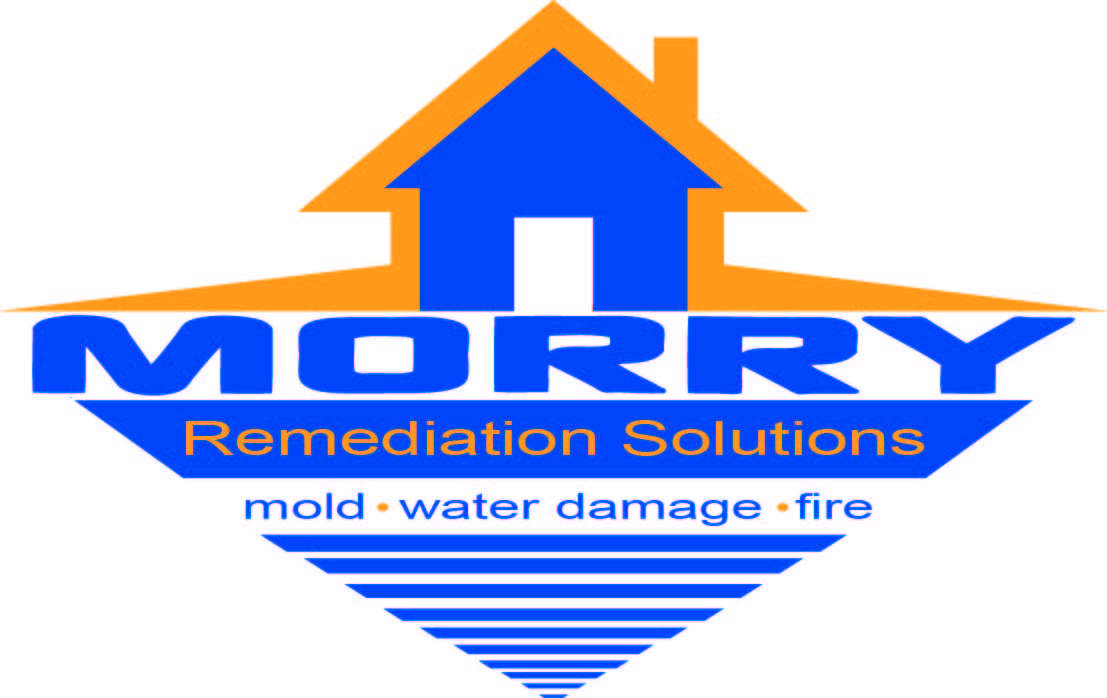 Landscaping by Morry logo