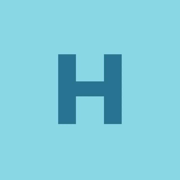 Hustlesformyninecleaningservices logo