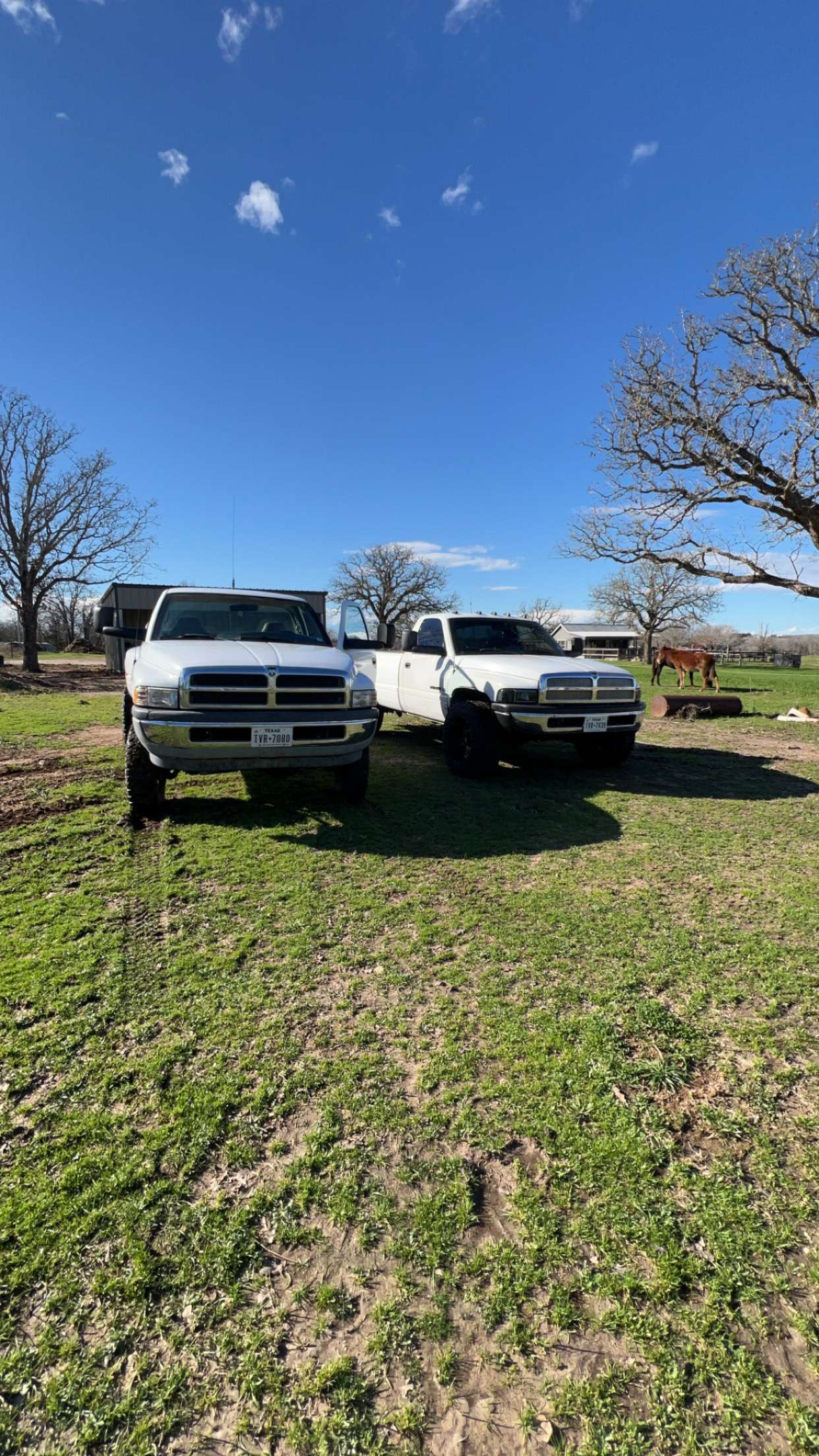 2nd Gen Dodge Lawn Care logo