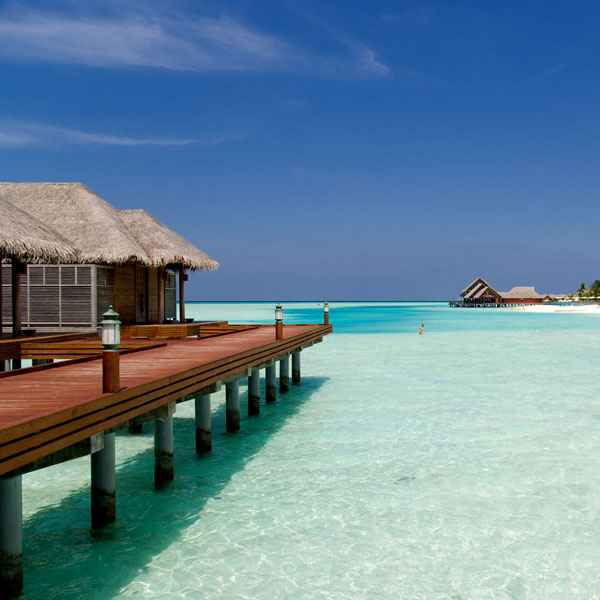 Avatar for Smart Texan Logical Layouts