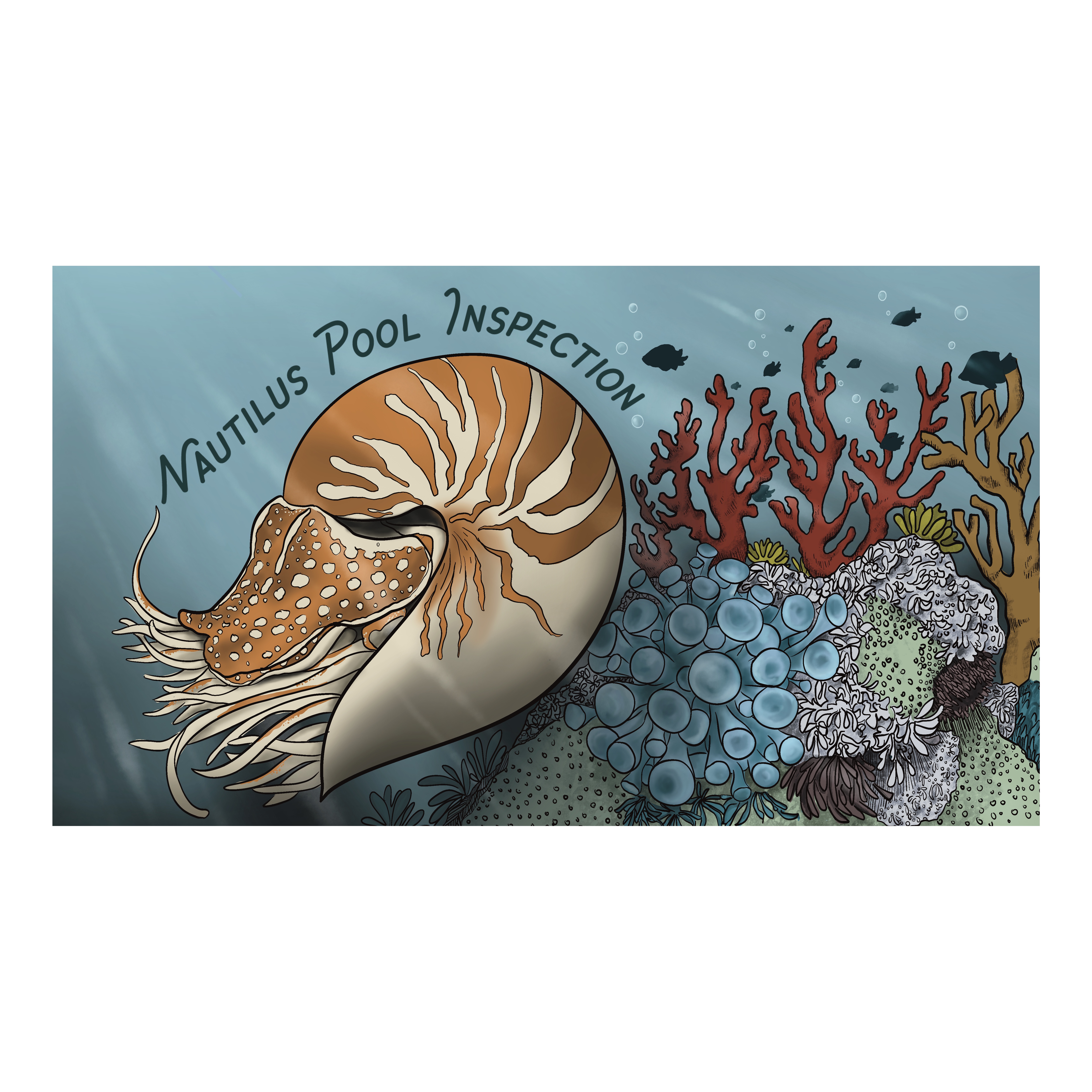 Nautilus Pool Inspection logo