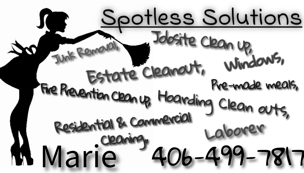 Avatar for Spotless Solutions