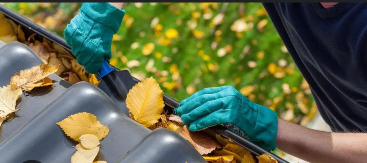 Avatar for rileytrumpeter