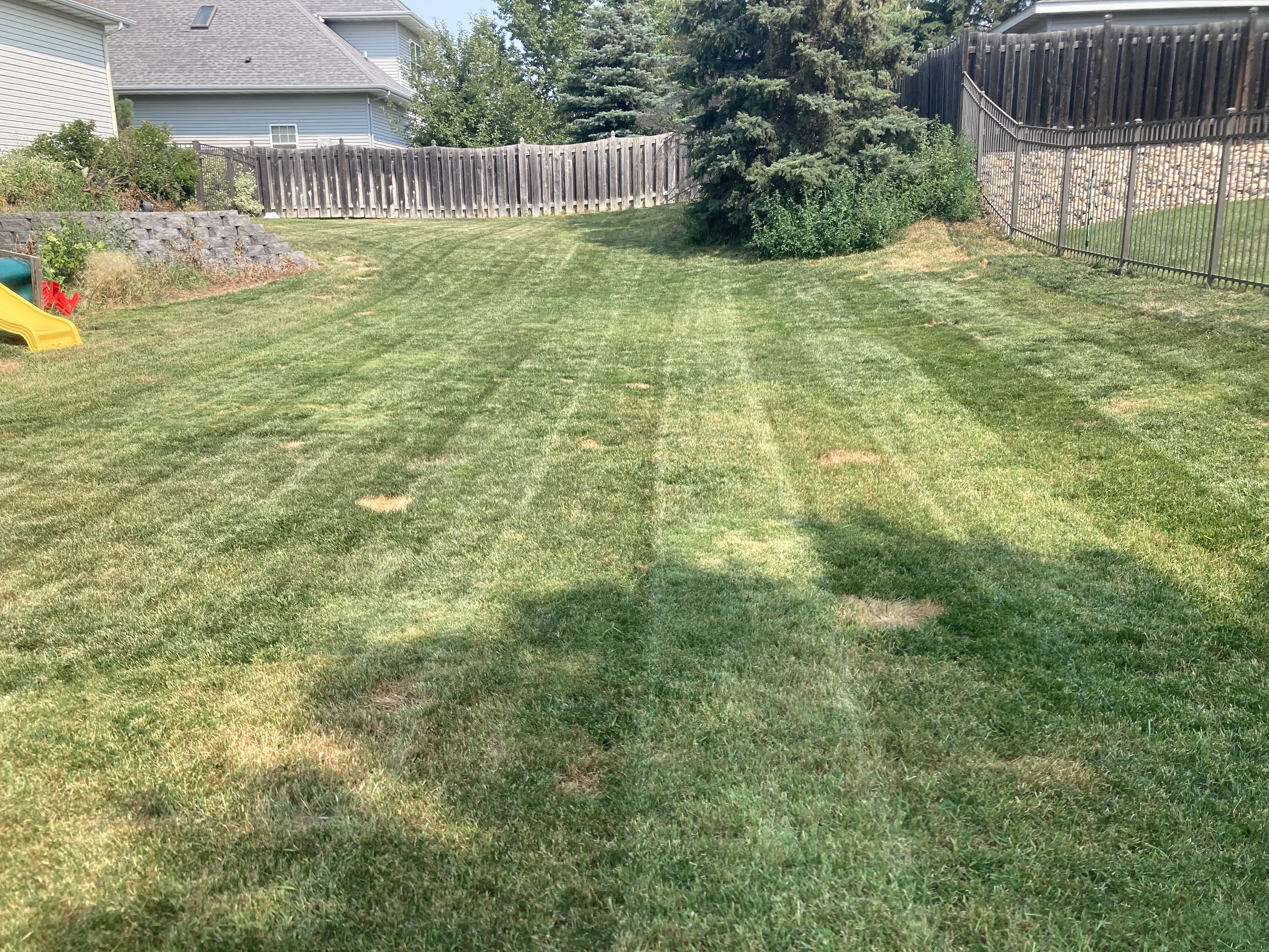 Knowles lawn care logo