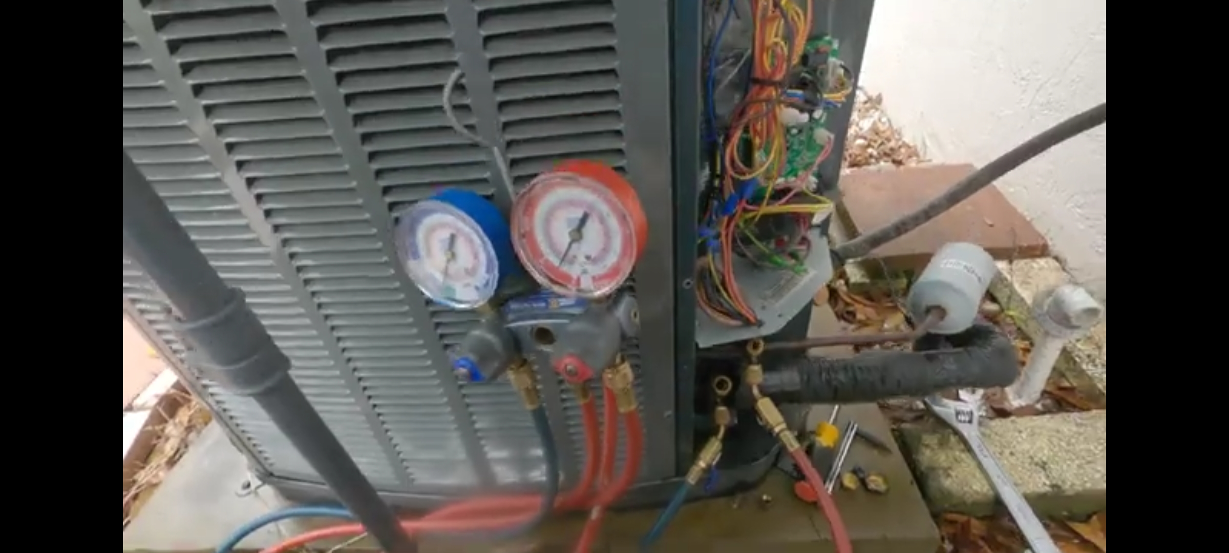 Avatar for William Cuison