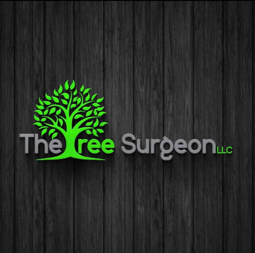 Lance Acord the Tree Surgeon LLC logo