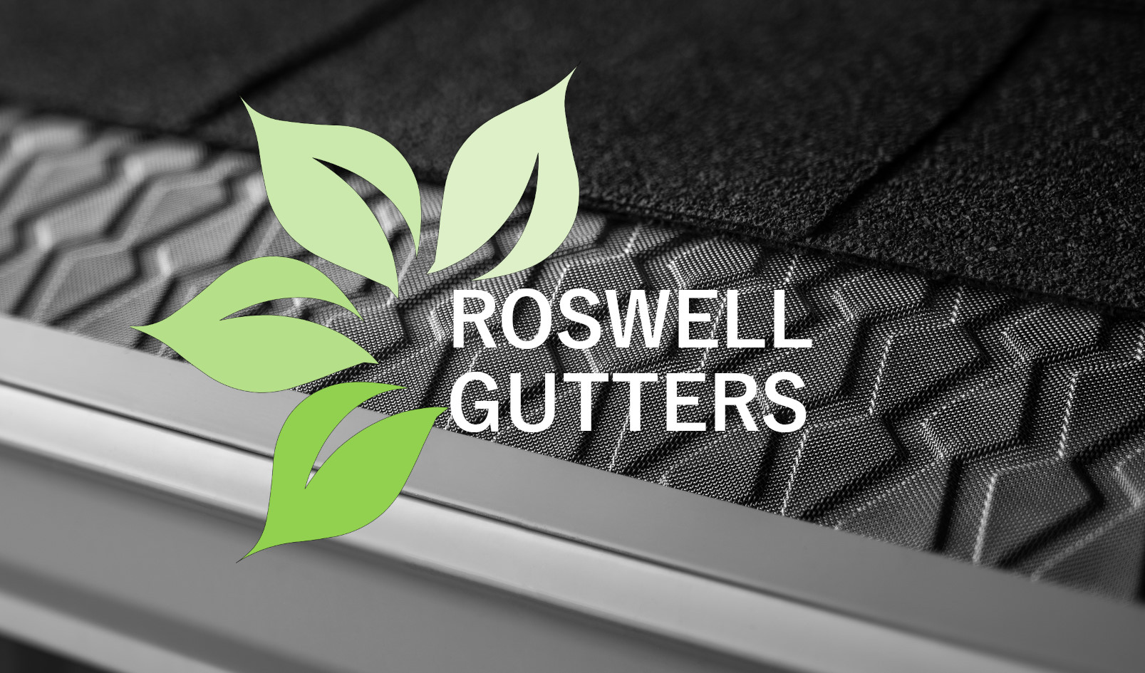 Avatar for Roswell Gutters