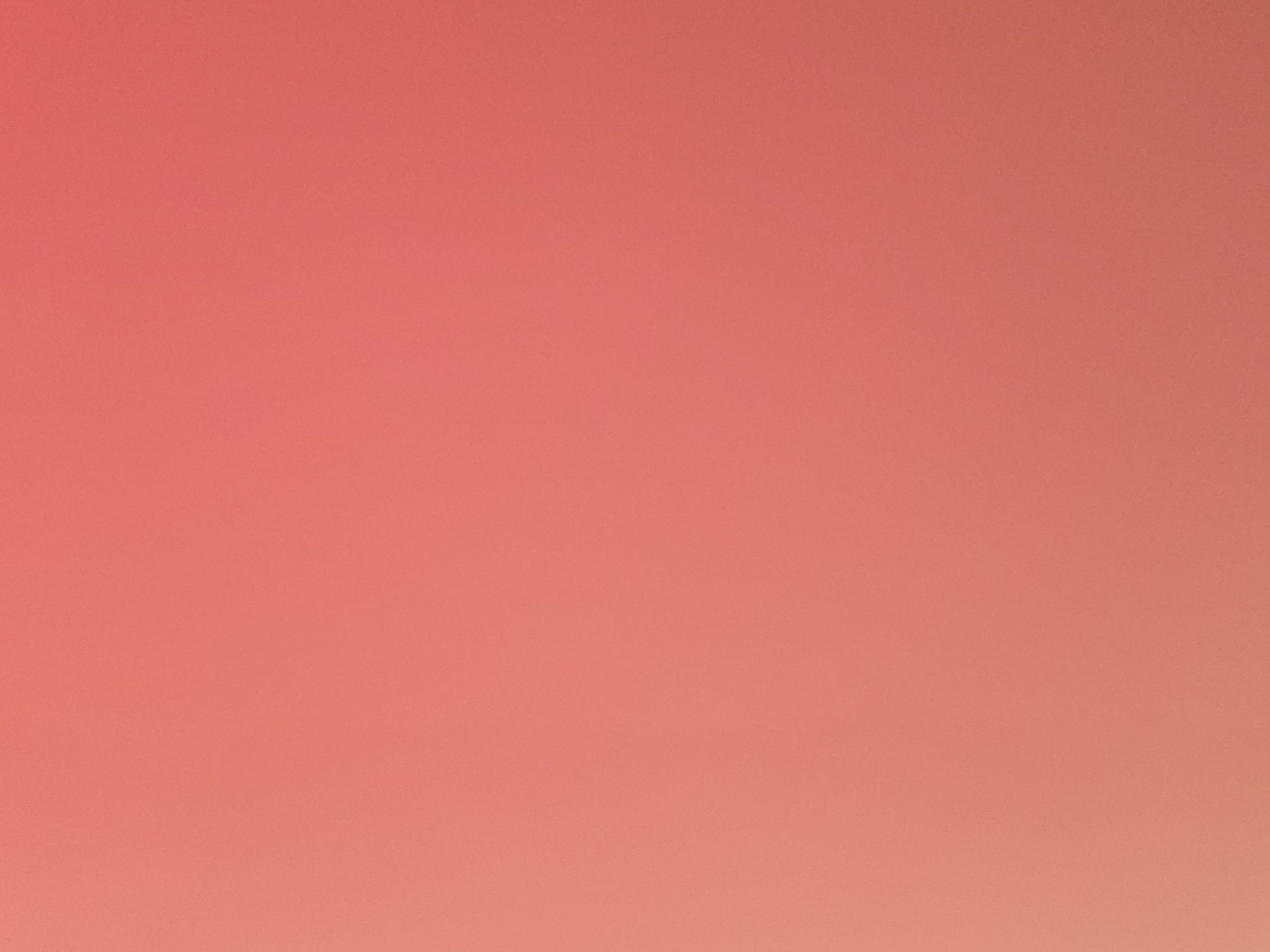 Tiffany logo