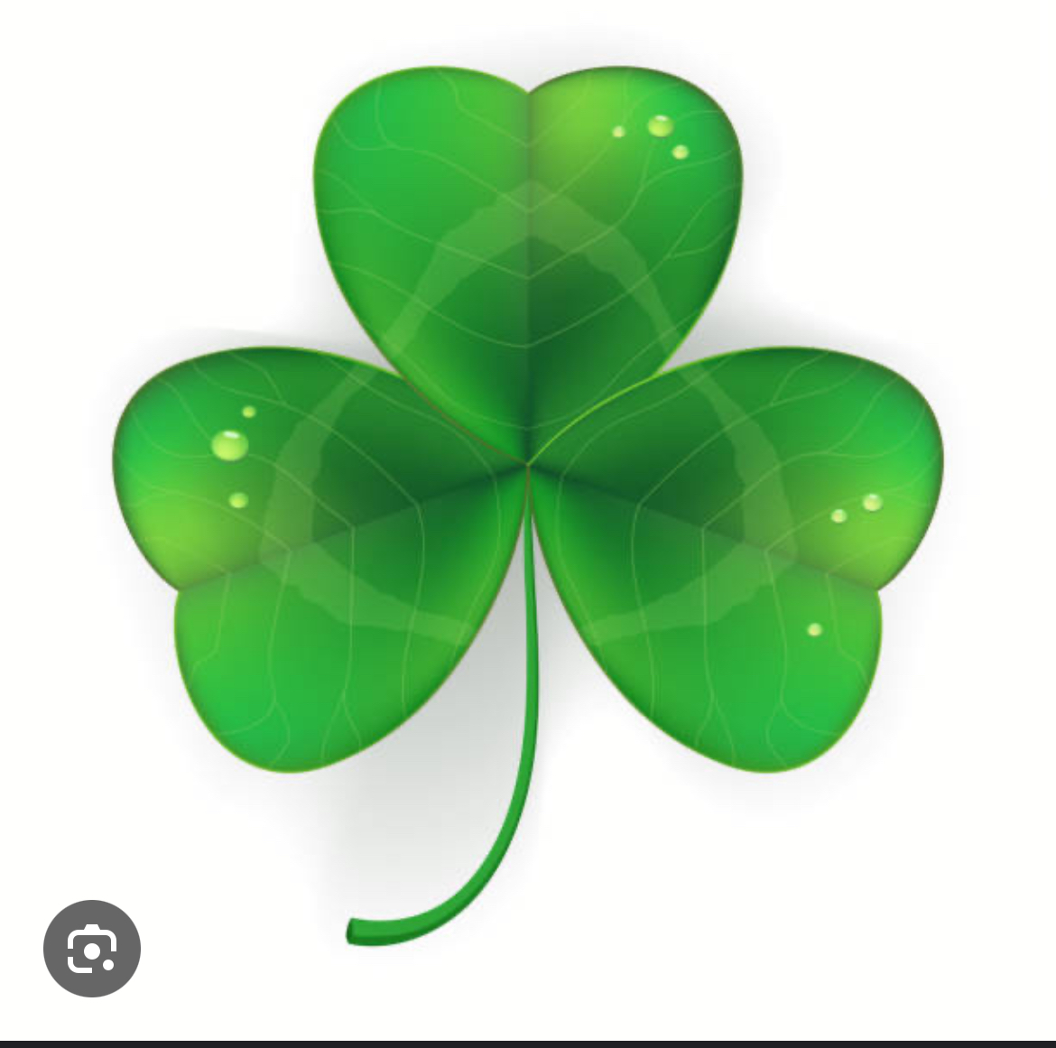 LaughlinTreeCo logo