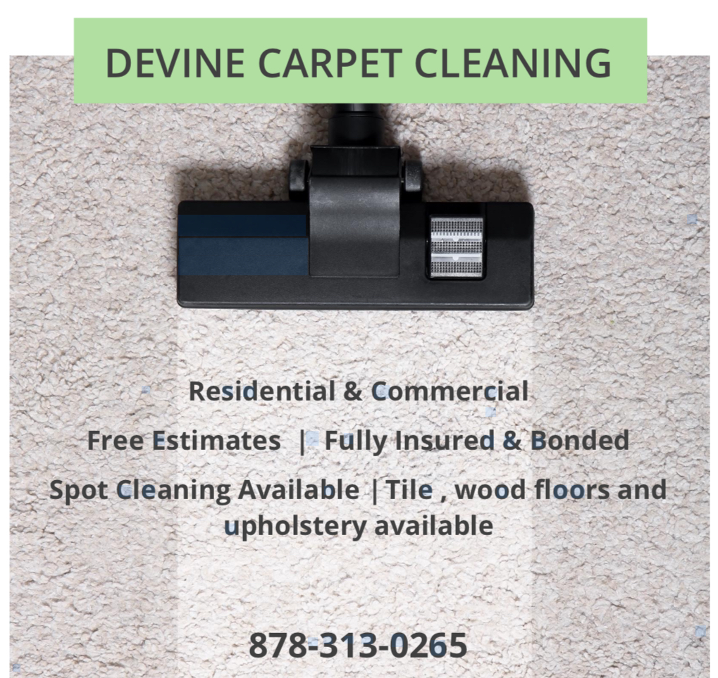 Devine Carpet Cleaning logo